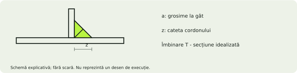Schemă explicativă: Deformare și toleranțe